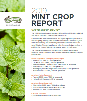 Just released: Lebermuth's 2019 Mint Crop Report